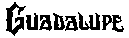 Guadalupe | Journal